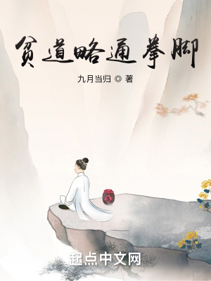 贫道略通拳脚封面