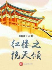 红楼之挽天倾封面